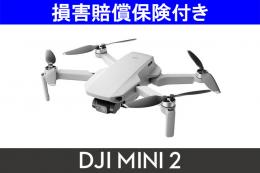 DJI Mini 2